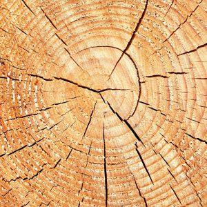 solta faalangst factoren
