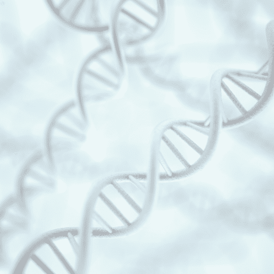 OCD DNA Solta Angstpraktijk
